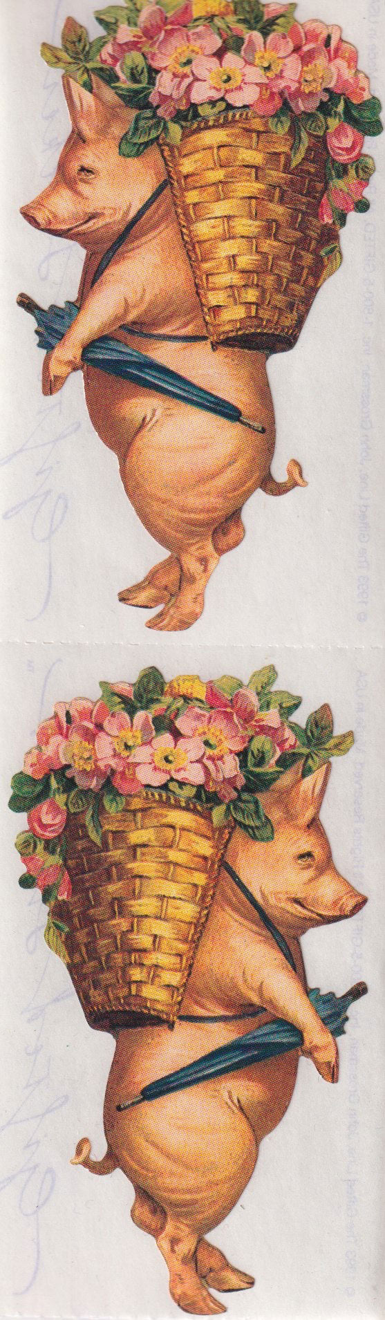 GIFTED LINE: Strips - Pig with Flowers