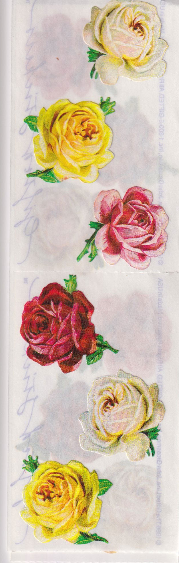 GIFTED LINE: Strips - Six Roses