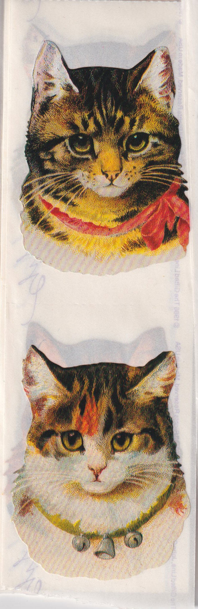 GIFTED LINE: Strips - Cat Heads