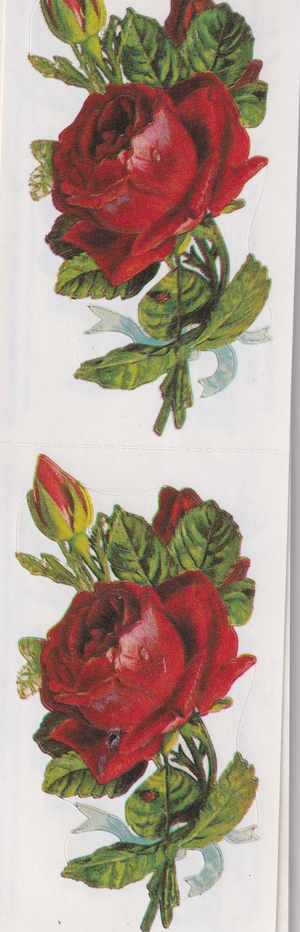 GIFTED LINE: Strips - Perfect Red Rose