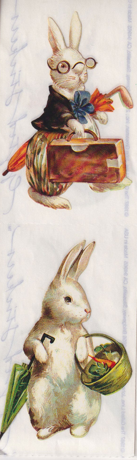 GIFTED LINE: Strips - Dressed RAbbits