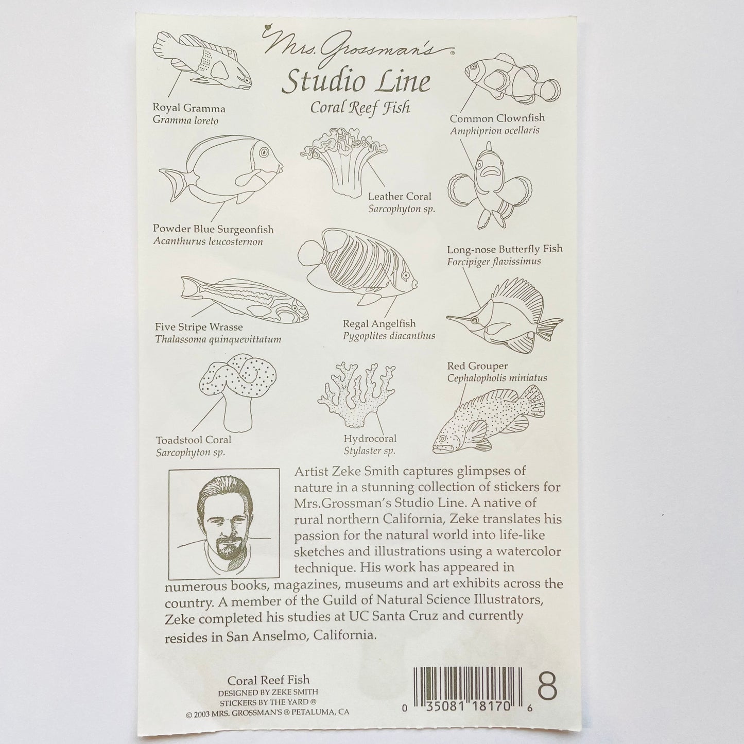 Mrs. Grossman's: Zeke Smith Coral Reef Fish