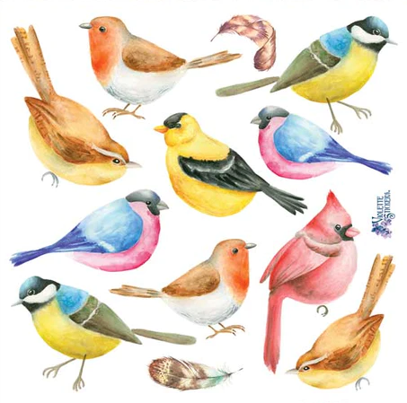 BULK BUY: 50 sheets Watercolor Bird Stickers