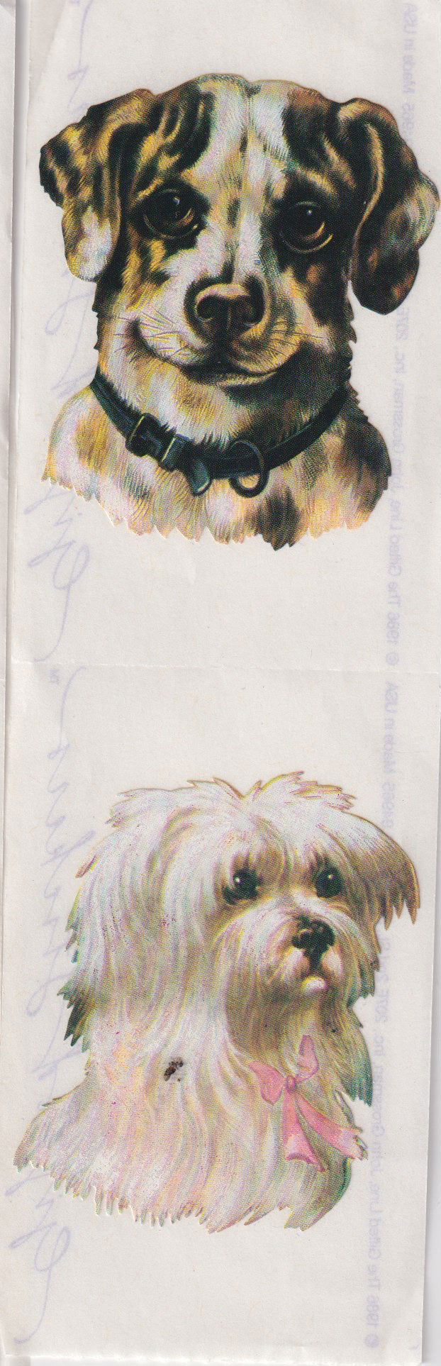 GIFTED LINE: Strips - Dog Heads