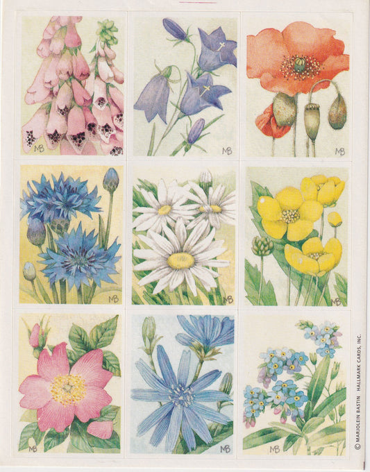 HALLMARK: Marjolein Bastin wildflowers