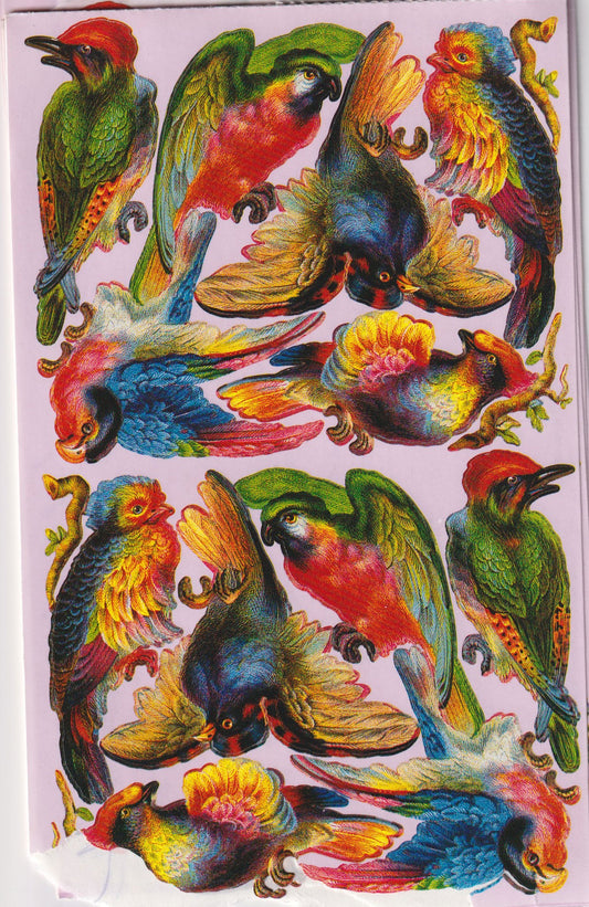 GIFTED LINE: Victorian Parrots