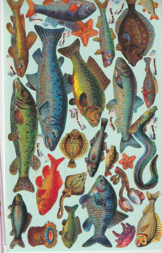 GIFTED LINE: Victorian Fish