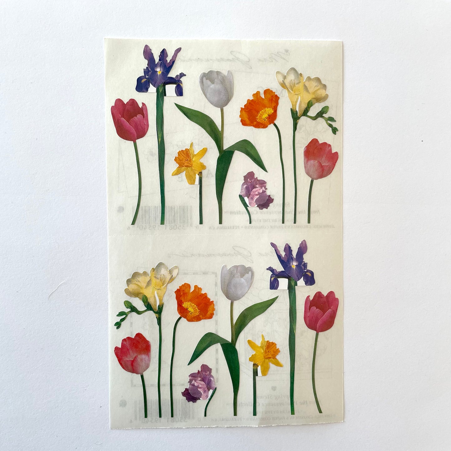 Mrs. Grossman's: Spring Stems Flower Stickers