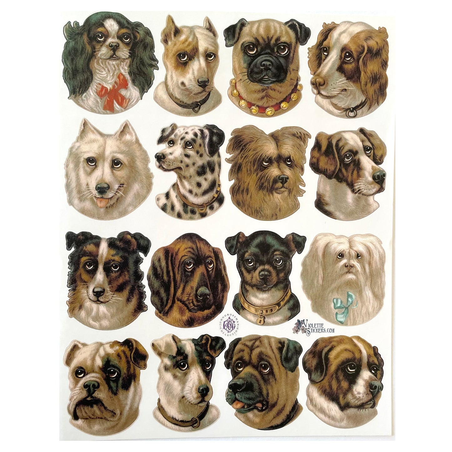Violette: 6" x 8" Dog Stickers