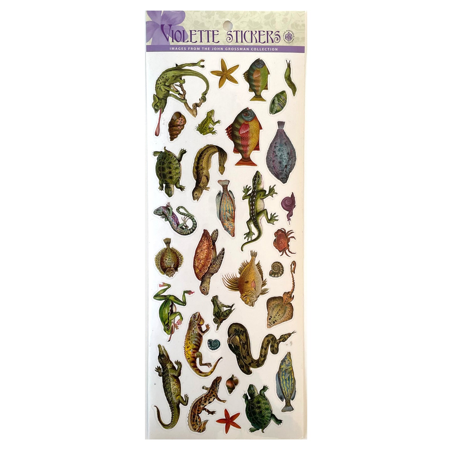 Violette: Jumbo Sheet Reptile Stickers