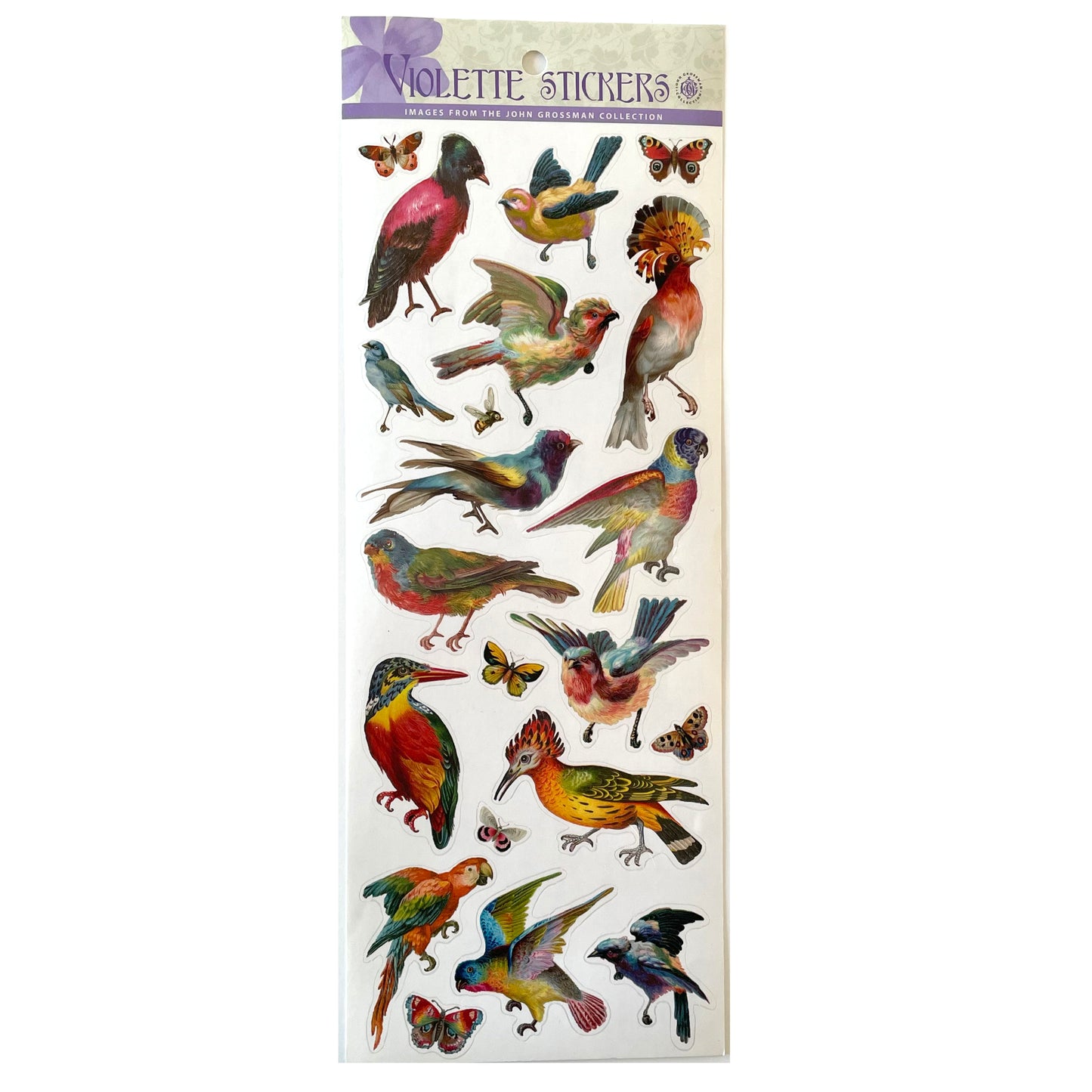 Violette: Jumbo Sheet Bird Stickers