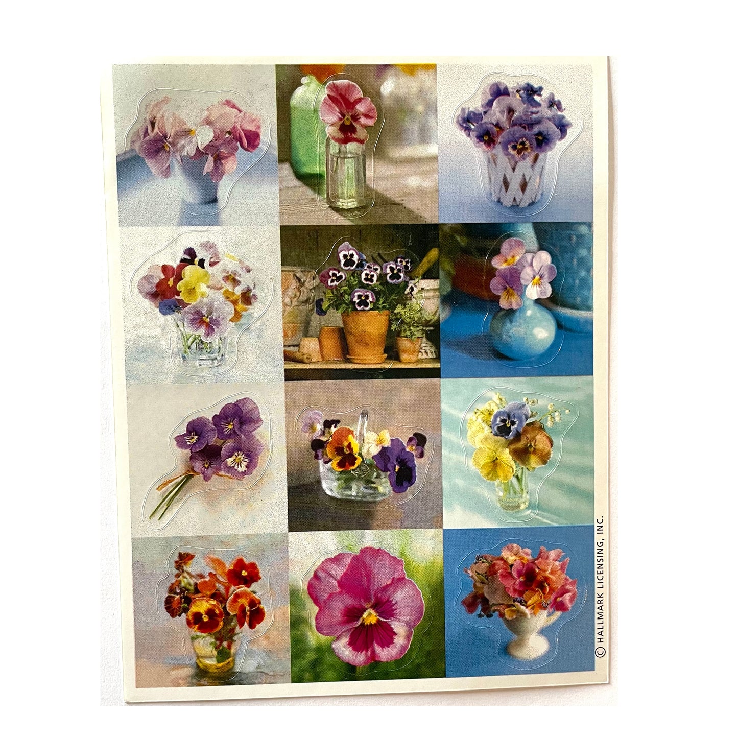 HALLMARK: Photos of Pansy Flower Squares Stickers