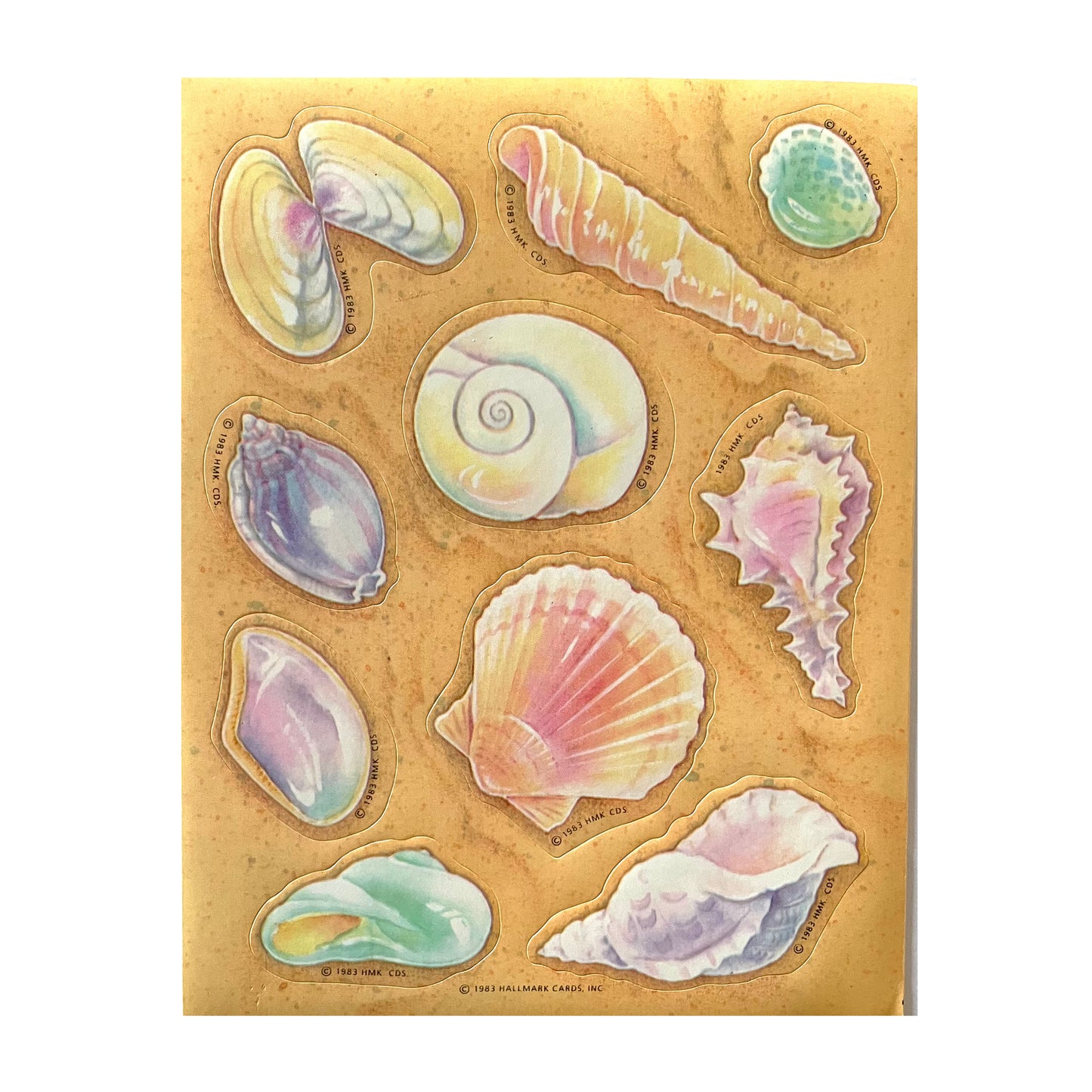 HALLMARK: Seashell Stickers