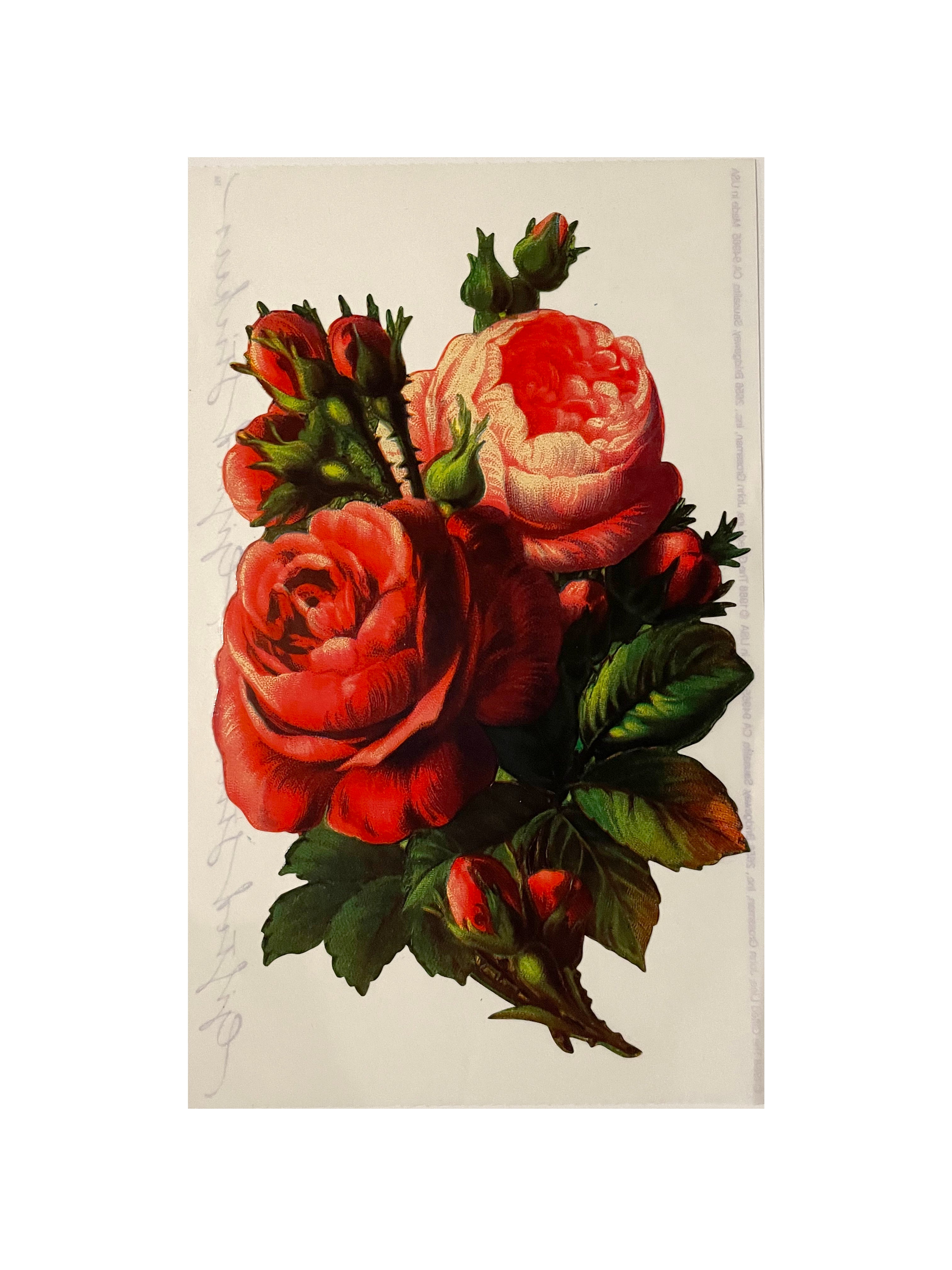Red Roses Rugby Window Sticker GIFTED LINE: XL Red Rose Sticker – Sticker Stash Outlet