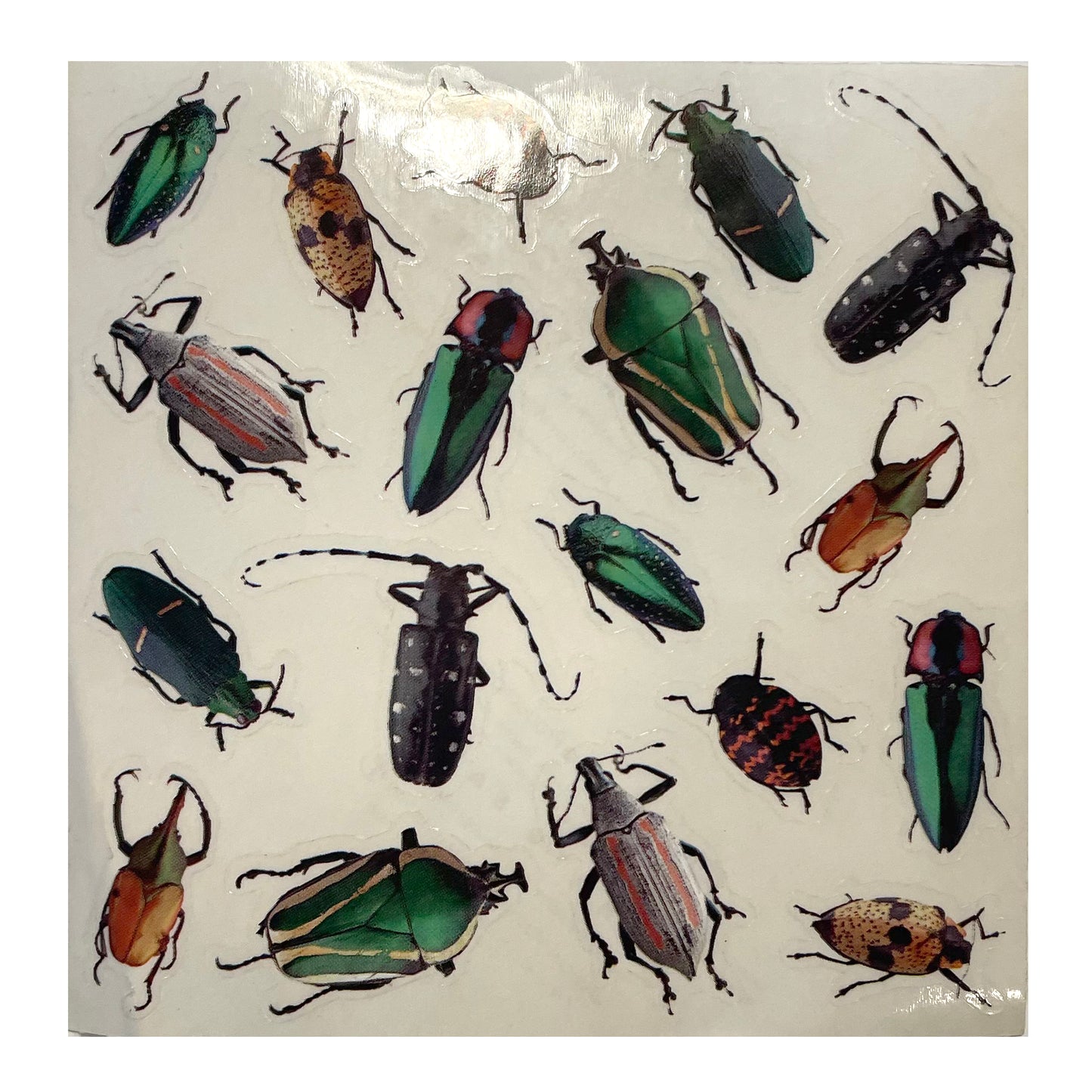 Paper House: 4" Photoreal Insects and Bugs stickers - 2 pcs