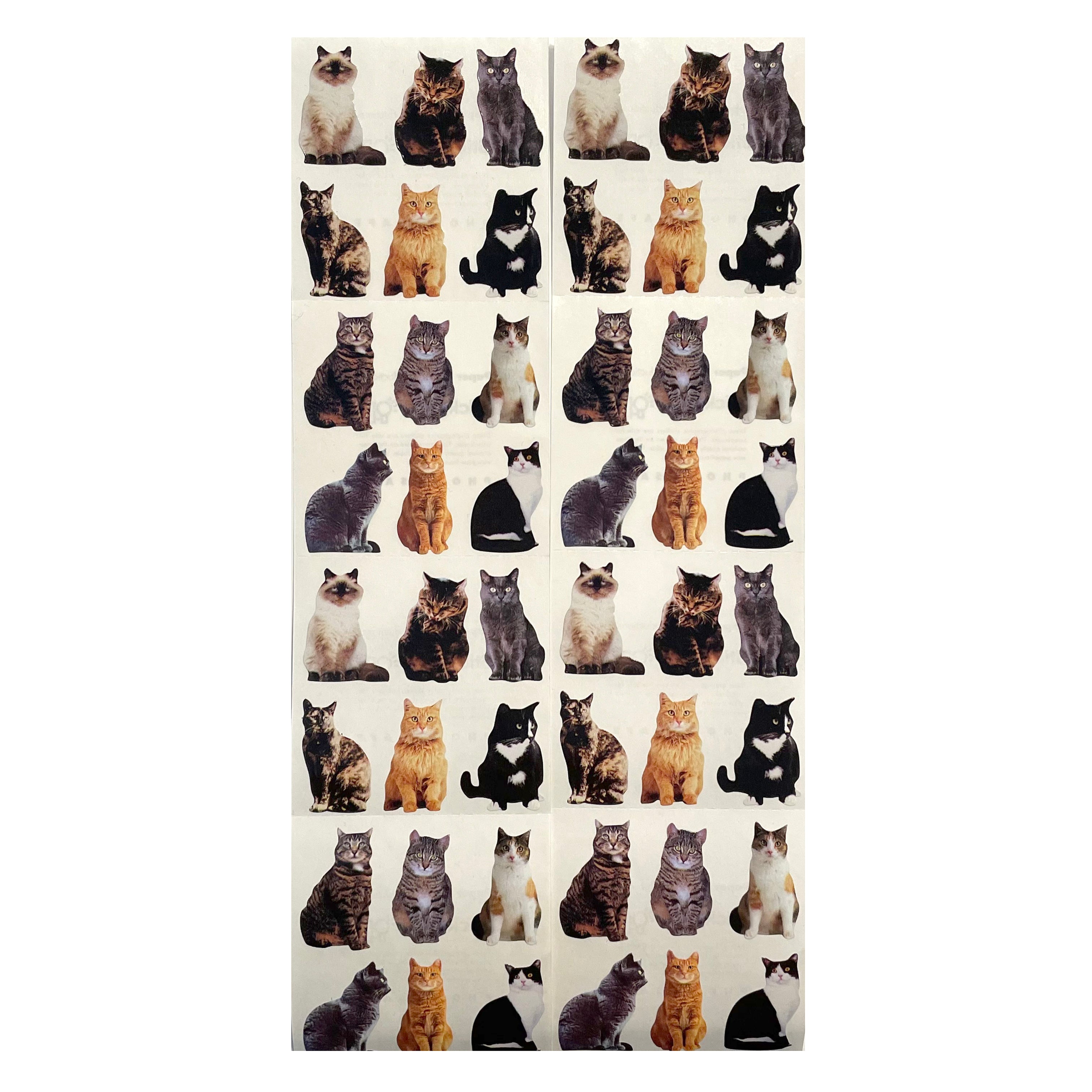 Paper House: Photoreal Mini Cat Stickers - 8 pcs – Sticker Stash Outlet