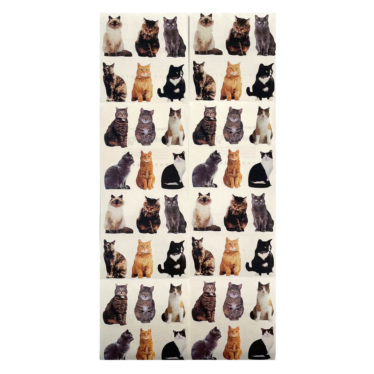 Paper House: Photoreal Mini Cat Stickers - 8 pcs