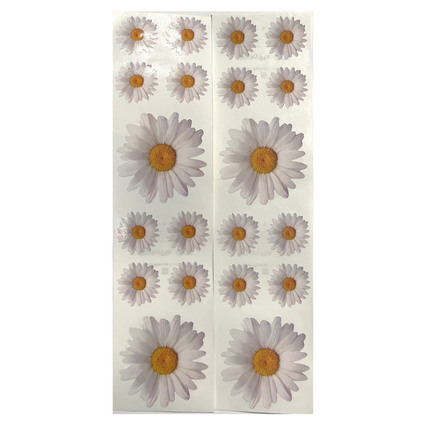 Paper House: Photoreal White Daisy stickers