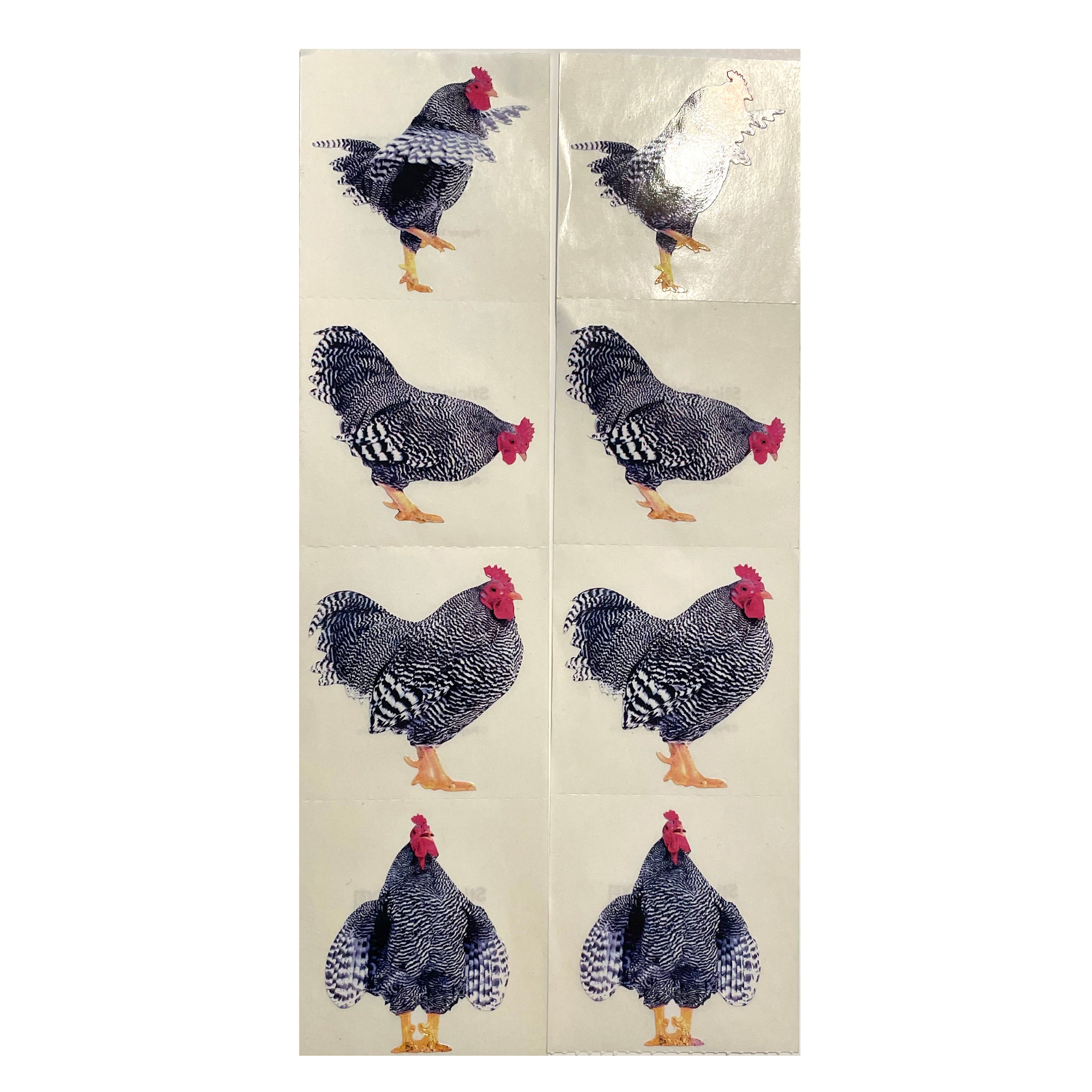 Chicken Sticker Sheets Paper House: Photoreal Chicken Stickers - 8 pcs – Sticker Stash Outlet