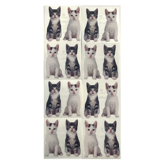 Paper House: Photoreal Kittens Stickers - 8 pcs