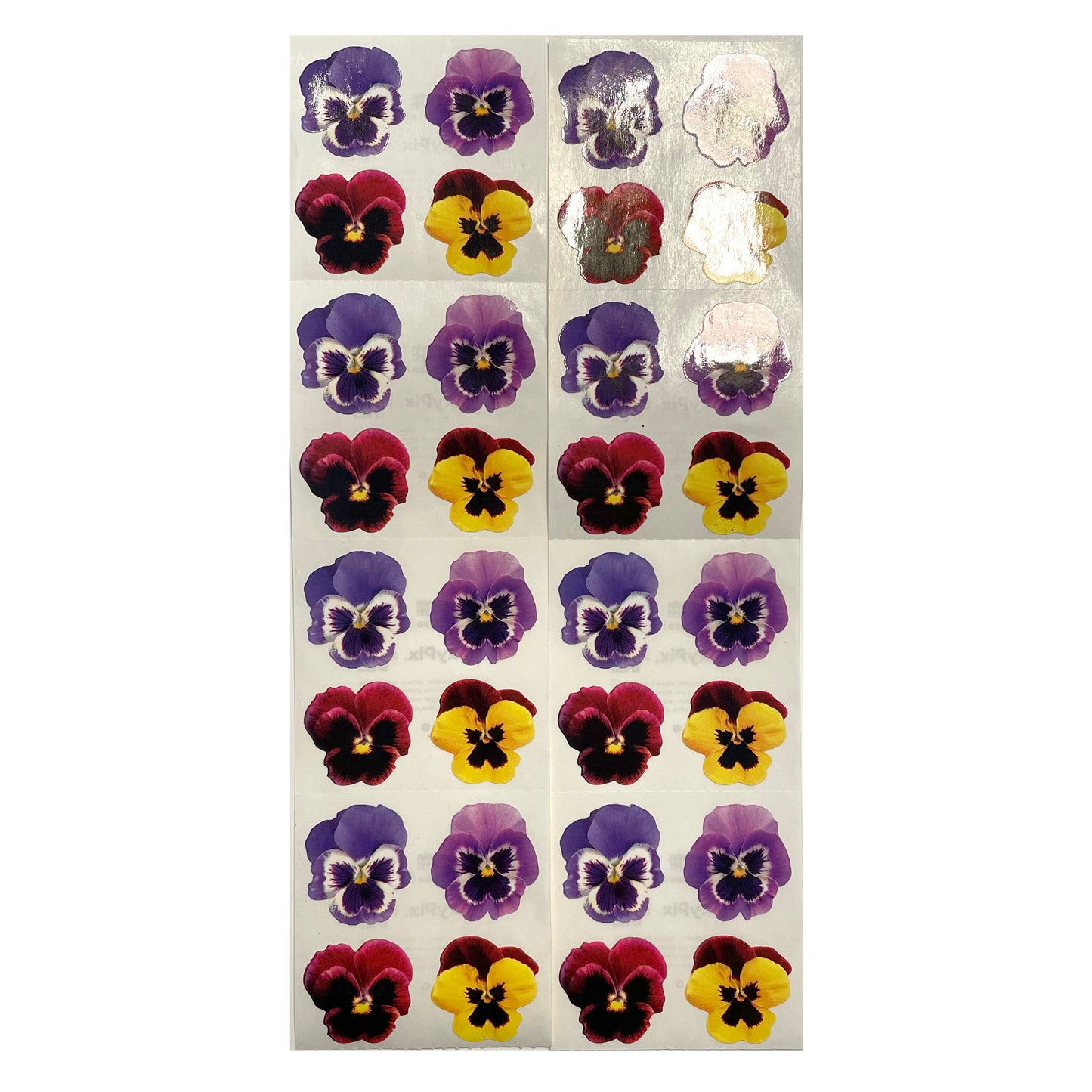 Paper House: Photoreal Pansy Flower stickers