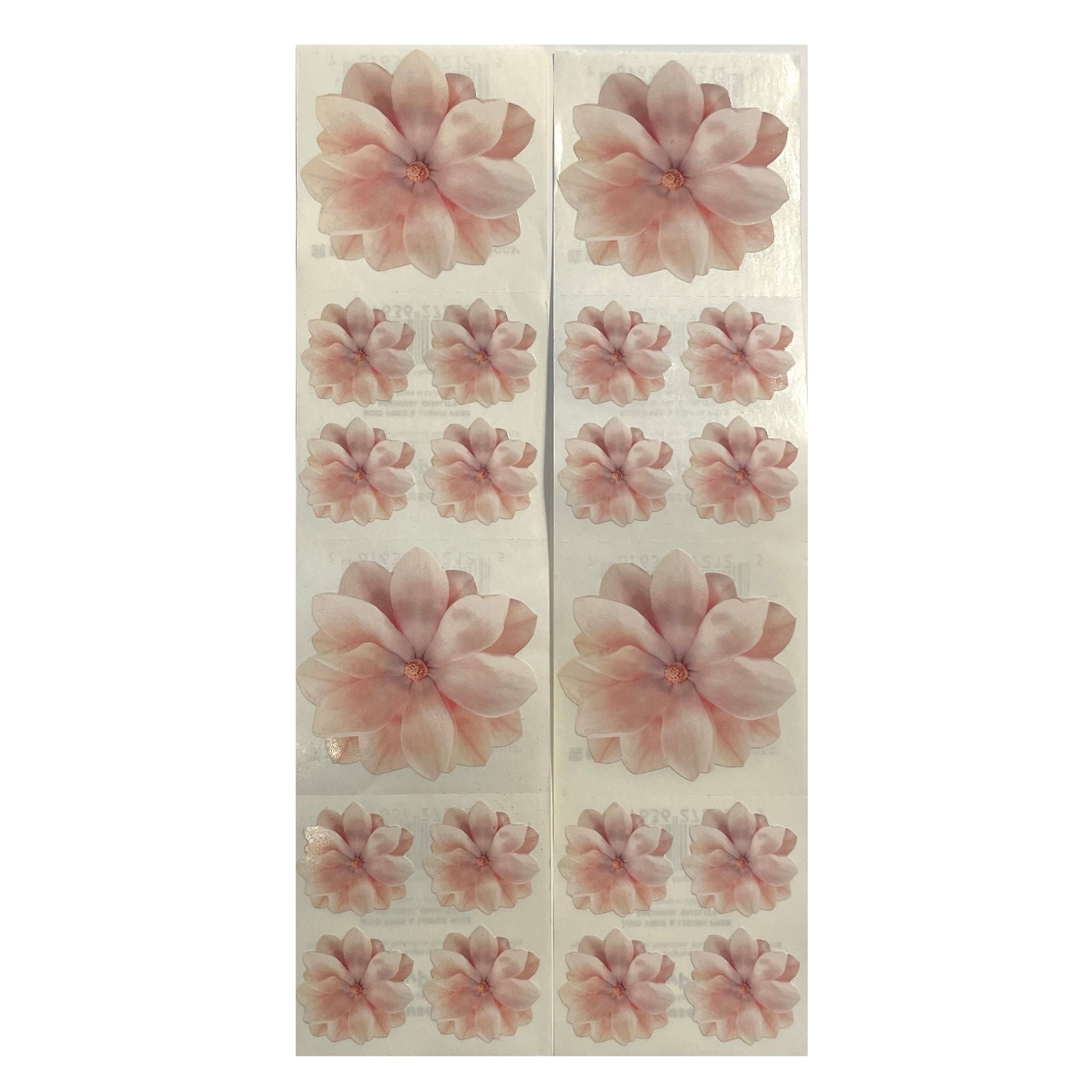 Paper House: Photoreal Pink Gardenia Flower Stickers - 8 pcs