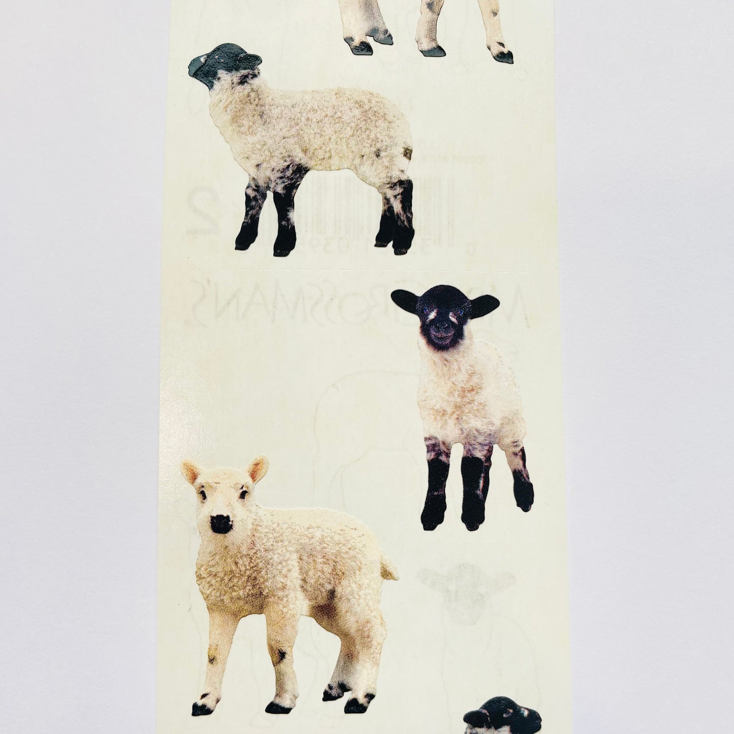 Mrs. Grossman's Little Lambs Sticker
