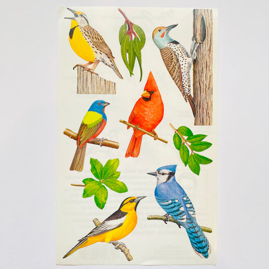 Mrs. Grossman's: Zeke Smith Songbirds