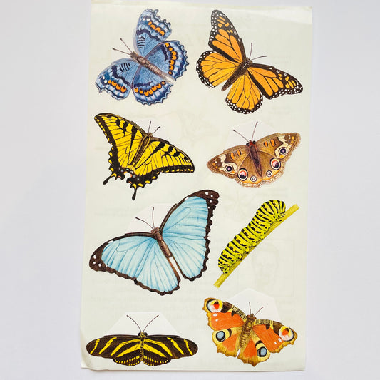 Mrs. Grossman's: Zeke Smith Butterflies